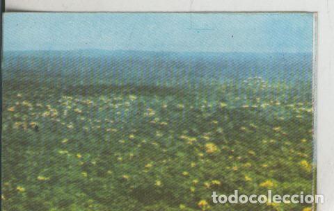 Collectionnisme sportif: Cromos: La Naturaleza y sus maravillas numero 001 - Varios