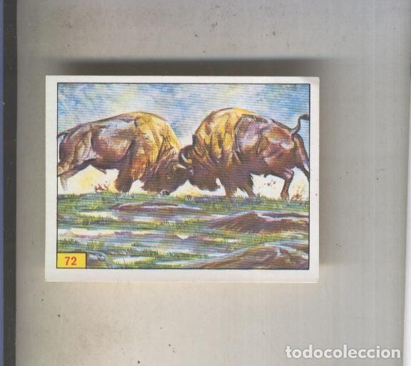 Coleccionismo deportivo: Cromo Mamiferos de Panini numero 072 - Varios