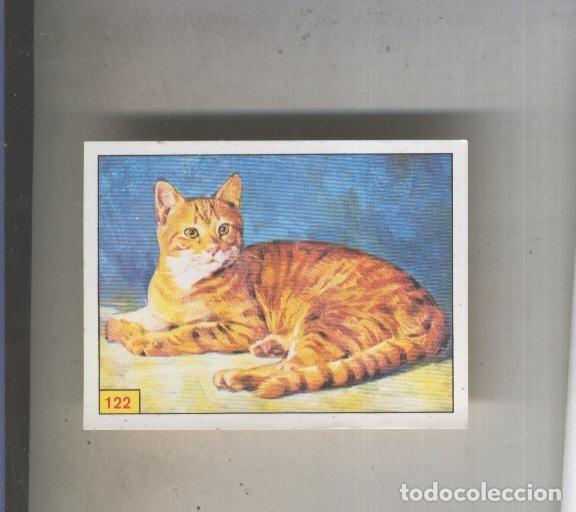 Coleccionismo deportivo: Cromo Mamiferos de Panini numero 122 - Varios