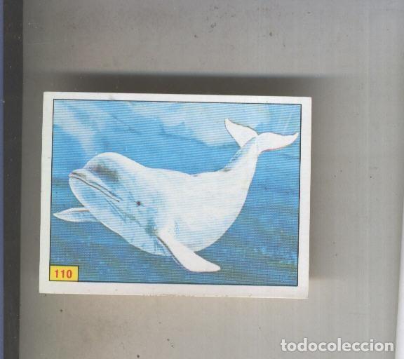 Coleccionismo deportivo: Cromo Mamiferos de Panini numero 110 - Varios