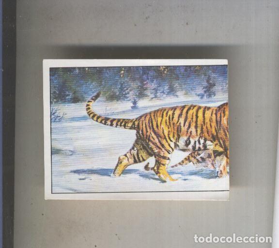 Coleccionismo deportivo: Cromo Mamiferos de Panini numero 135 - Varios