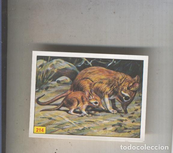 Coleccionismo deportivo: Cromo Mamiferos de Panini numero 214 - Varios