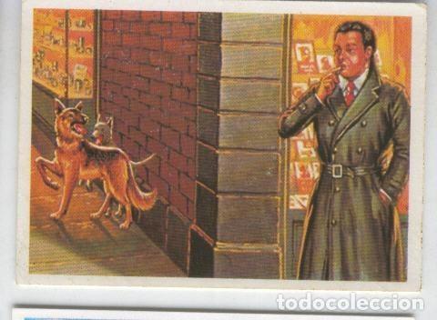 Coleccionismo deportivo: Cromos: Sabias que....? numero 16 - Varios