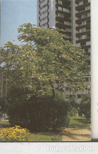 Collezionismo sportivo: Cromos: Arbres de Barcelona numero 35.A: Bauhinia - Varios