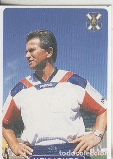 Colecionismo desportivo: Cromos: Las fichas de la liga 95/96-Tenerife: Heynckes - Varios