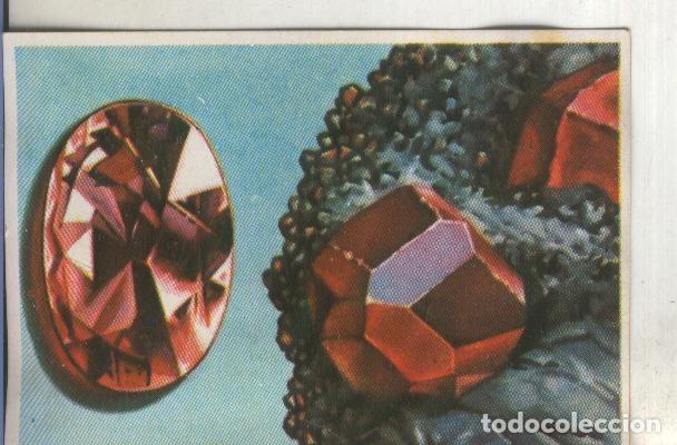 Colecionismo desportivo: Cromos: Historia Natural numero 084 - Varios