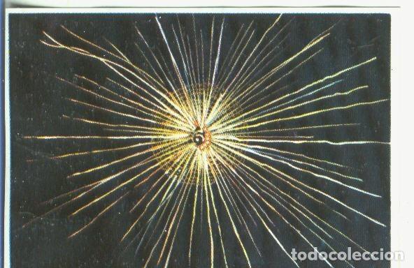 Colecionismo desportivo: Cromos: Historia Natural numero 339 - Varios