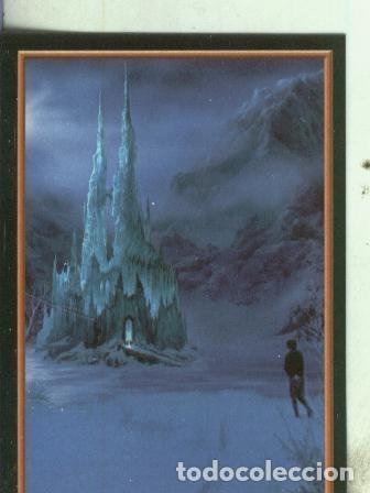 Colecionismo desportivo: Cromos: Narnia numero 055 - Varios