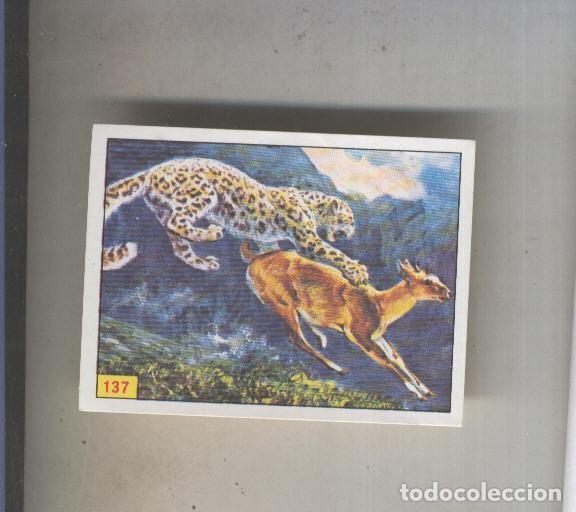 Collezionismo sportivo: Cromo Mamiferos de Panini numero 137 - Varios