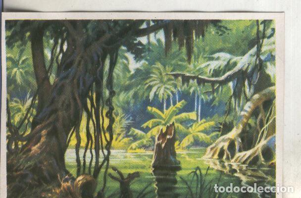 Sammelleidenschaft Sport: Cromos: Historia Natural numero 399 - Varios