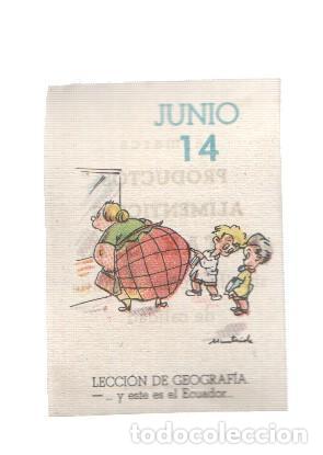 Sammelleidenschaft Sport: Cromo: album del buen humor de la firma Potax : 14 de junio, dibujo de Munta&ntilde;ola