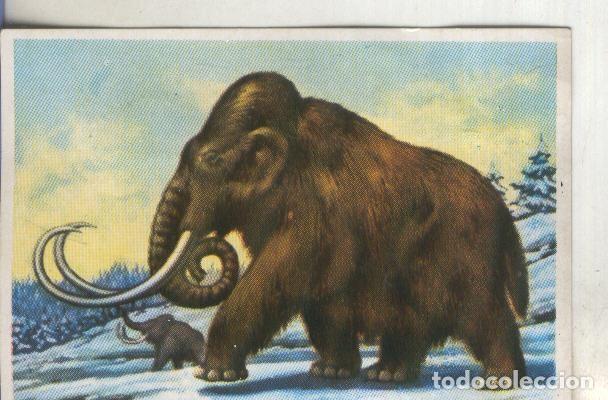 Colecionismo desportivo: Cromos: Historia Natural numero 312 - Varios