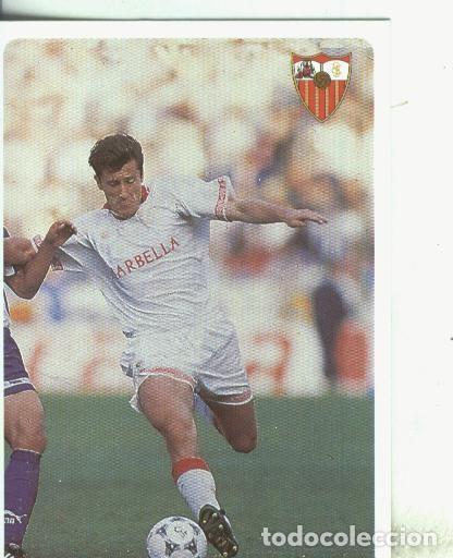 Coleccionismo deportivo: Cromos: Las fichas de la liga 95/96-Sevilla: Suker - Varios