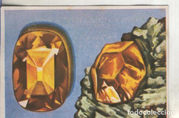 Coleccionismo deportivo: Cromos: Historia Natural numero 087 - Varios