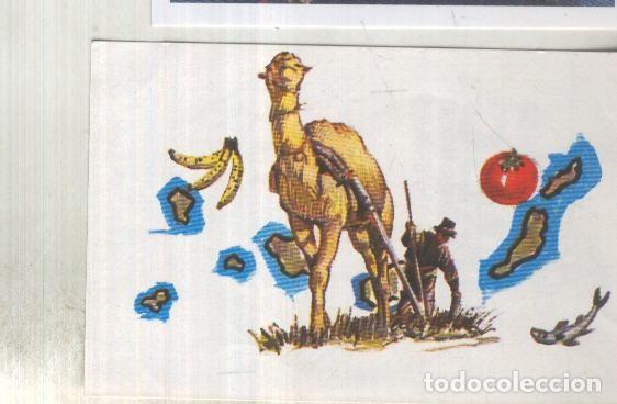 Sports collectibles: Cromo: Nuestro Mundo, atlas ilustrado de Bimbo numero 019: Camello - varios