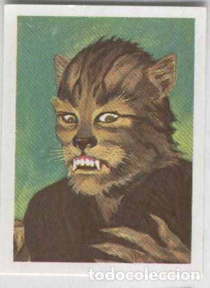 Coleccionismo deportivo: Cromos: Historias de Terror numero 176: Hombre Gato - Varios