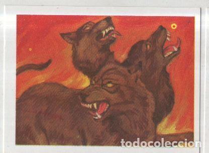Colecionismo desportivo: Cromos: Historias de Terror numero 168: Cancerbero - Varios
