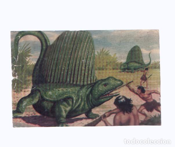 Collezionismo sportivo: Cromos: de la Selva Misteriosa a los abismos del mar: numero 012