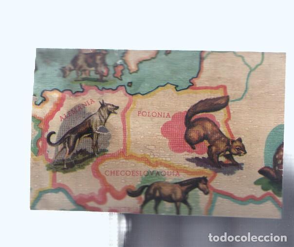 Collezionismo sportivo: Cromos: de la Selva Misteriosa a los abismos del mar: numero 025: Mapa zoologico de Europa, parte