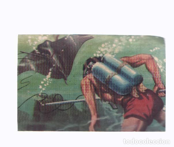 Collezionismo sportivo: Cromos: de la Selva Misteriosa a los abismos del mar: numero 053: El mundo del silencio agitado por