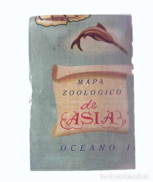 Collezionismo sportivo: Cromos: de la Selva Misteriosa a los abismos del mar: numero 060: Mapa zoologico de asia, parte