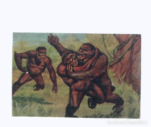 Collezionismo sportivo: Cromos: de la Selva Misteriosa a los abismos del mar: numero 066: Encarnizados luchadores de cuatro
