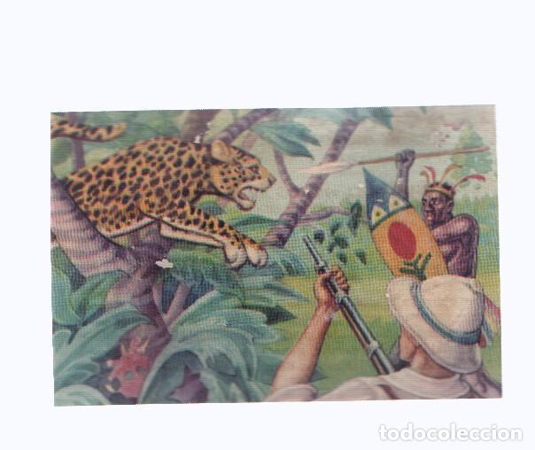 Collezionismo sportivo: Cromos: de la Selva Misteriosa a los abismos del mar: numero 093: cuando menos se espera