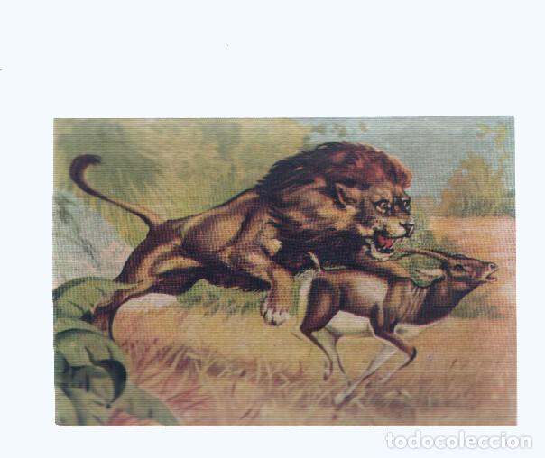 Collezionismo sportivo: Cromos: de la Selva Misteriosa a los abismos del mar: numero 132: Matar para vivir