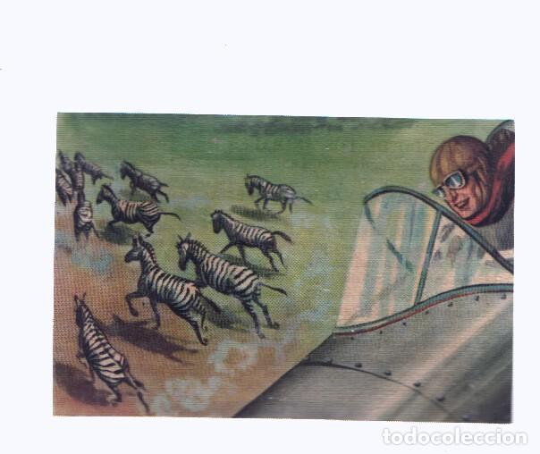 Collezionismo sportivo: Cromos: de la Selva Misteriosa a los abismos del mar: numero 137: Pijamas al galop