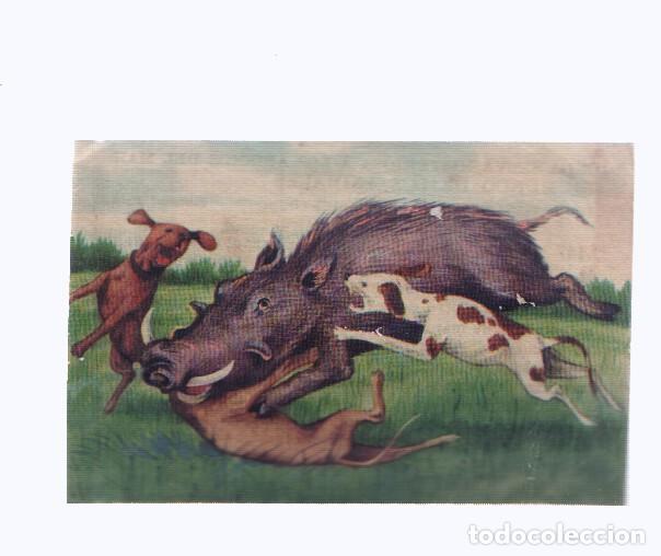 Collezionismo sportivo: Cromos: de la Selva Misteriosa a los abismos del mar: numero 147: Sin cuartel