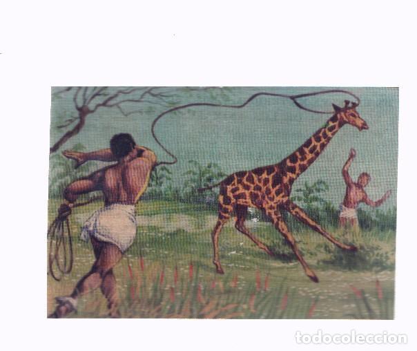 Collezionismo sportivo: Cromos: de la Selva Misteriosa a los abismos del mar: numero 139: Un alarde de destreza