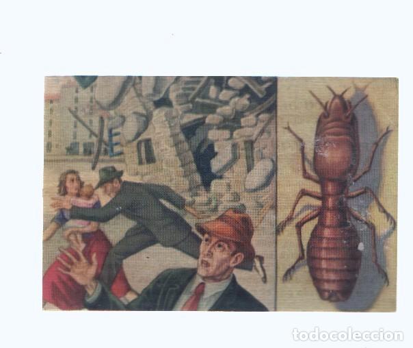 Colecionismo desportivo: Cromos: de la Selva Misteriosa a los abismos del mar: numero 155: Los peque&ntilde;os diablos minadores