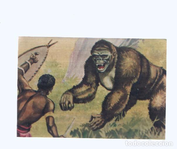 Colecionismo desportivo: Cromos: de la Selva Misteriosa a los abismos del mar: numero 151: Una aventura en la selva