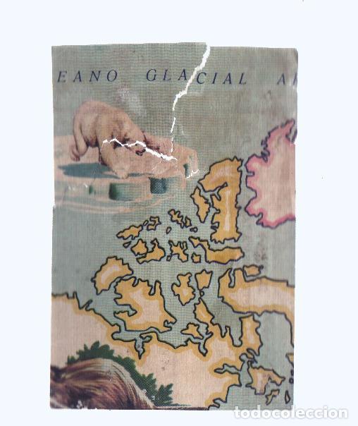 Sports collectibles: Cromos: de la Selva Misteriosa a los abismos del mar: numero 167: Mapa zoologico de America del Nort