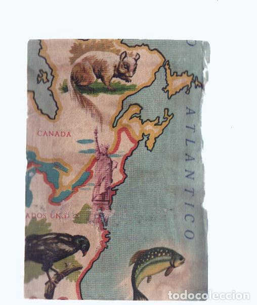 Sports collectibles: Cromos: de la Selva Misteriosa a los abismos del mar: numero 171: Mapa zoologico de America del Nort