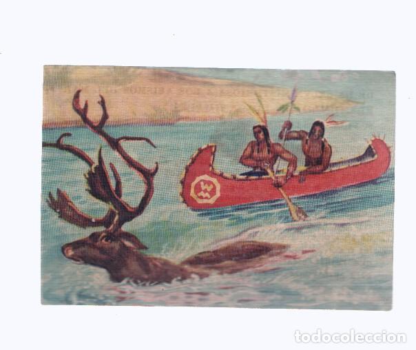 Sports collectibles: Cromos: de la Selva Misteriosa a los abismos del mar: numero 178: Caceria del reno