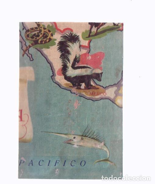 Sports collectibles: Cromos: de la Selva Misteriosa a los abismos del mar: numero 173: Mapa zoologico de America del Nort