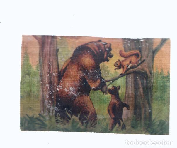 Sports collectibles: Cromos: de la Selva Misteriosa a los abismos del mar: numero 189: Golosos del bosque