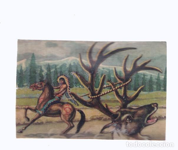 Colecionismo desportivo: Cromos: de la Selva Misteriosa a los abismos del mar: numero 180: Se&ntilde;or del bosque en desgracua