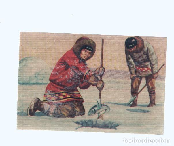 Colecionismo desportivo: Cromos: de la Selva Misteriosa a los abismos del mar: numero 197: Pescadores de regiones heladas