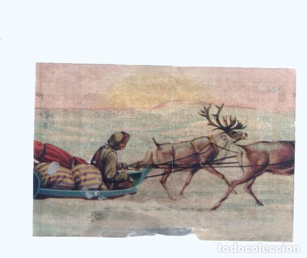 Colecionismo desportivo: Cromos: de la Selva Misteriosa a los abismos del mar: numero 201: El transporte sobre el hielo