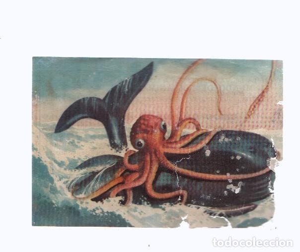 Colecionismo desportivo: Cromos: de la Selva Misteriosa a los abismos del mar: numero 208: Drama del mar