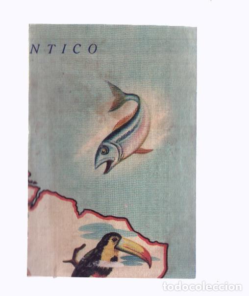 Colecionismo desportivo: Cromos: de la Selva Misteriosa a los abismos del mar: numero 213: Mapa zoologico de America del Sur,