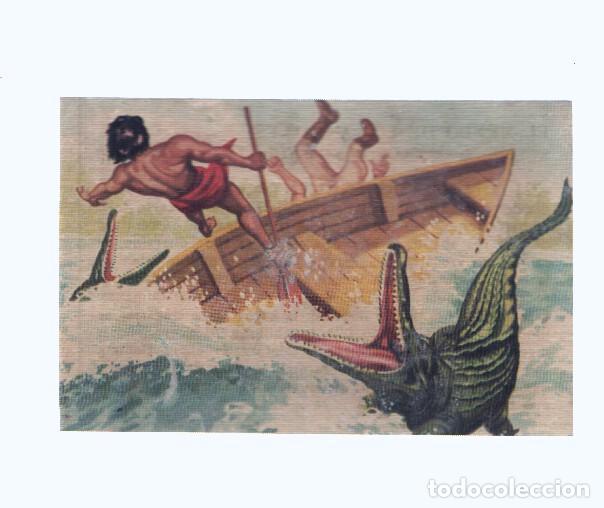 Colecionismo desportivo: Cromos: de la Selva Misteriosa a los abismos del mar: numero 224: Un mortal encuentro