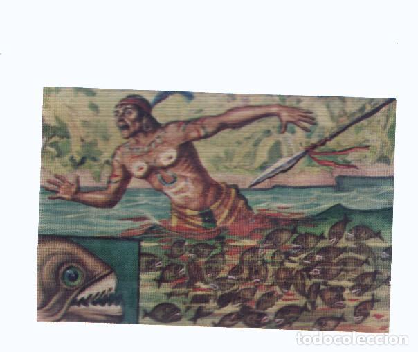 Colecionismo desportivo: Cromos: de la Selva Misteriosa a los abismos del mar: numero 235: Piratas voraces
