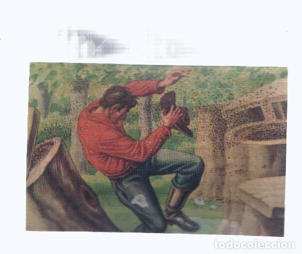 Colecionismo desportivo: Cromos: de la Selva Misteriosa a los abismos del mar: numero 248: Ejercito incontenible