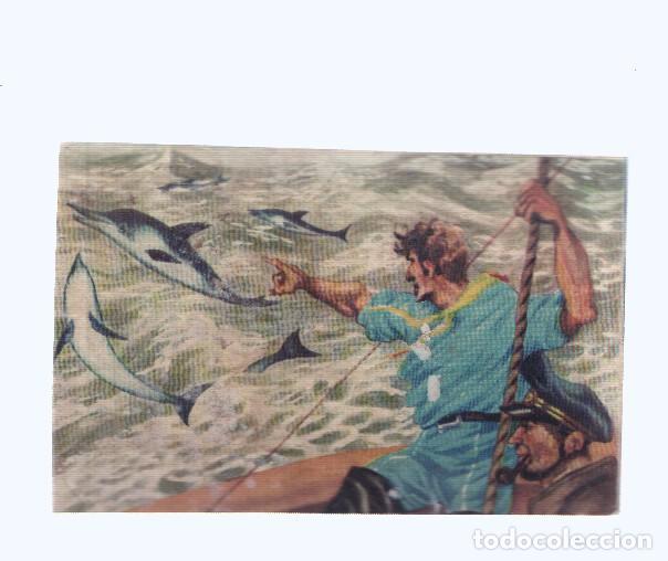 Colecionismo desportivo: Cromos: de la Selva Misteriosa a los abismos del mar: numero 253: Alegres saltarines