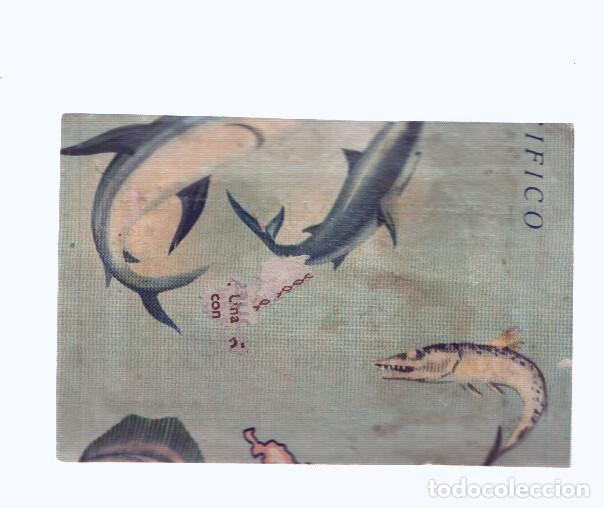 Colecionismo desportivo: Cromos: de la Selva Misteriosa a los abismos del mar: numero 261: Mapa zoologico de Oceania, parte
