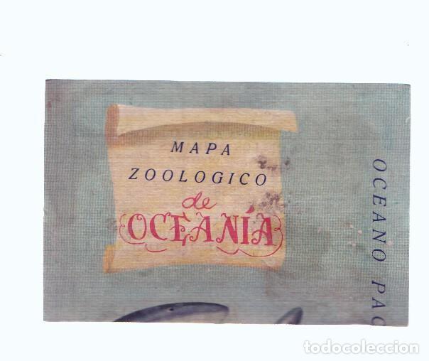 Colecionismo desportivo: Cromos: de la Selva Misteriosa a los abismos del mar: numero 258: Mapa zoologico de Oceania, parte