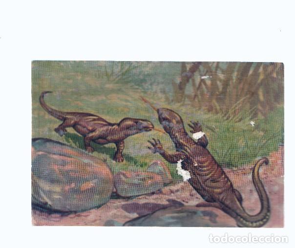 Colecionismo desportivo: Cromos: de la Selva Misteriosa a los abismos del mar: numero 276: Dragones frente a frente